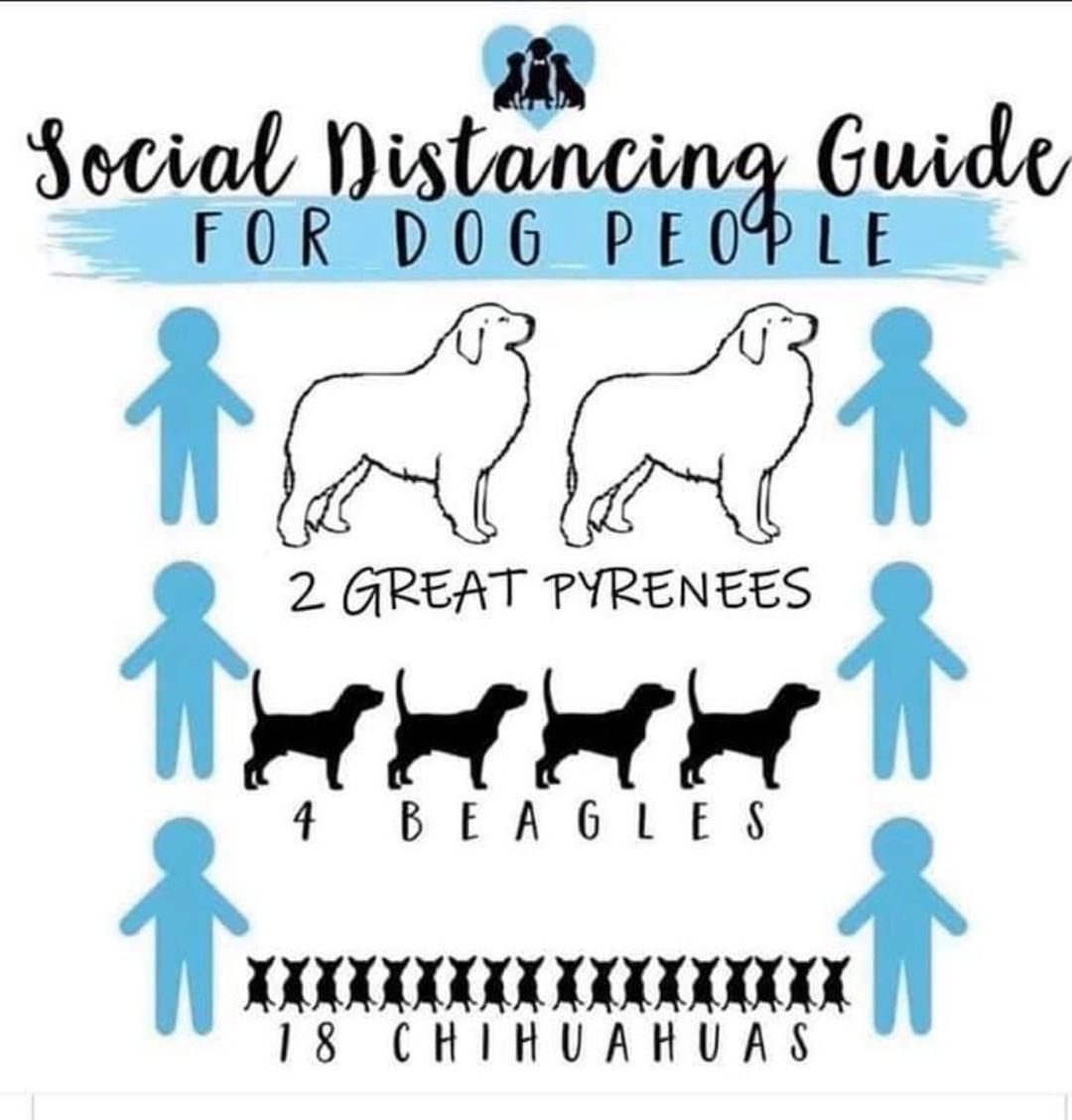 social-distance | Animals of the Pacific Northwest